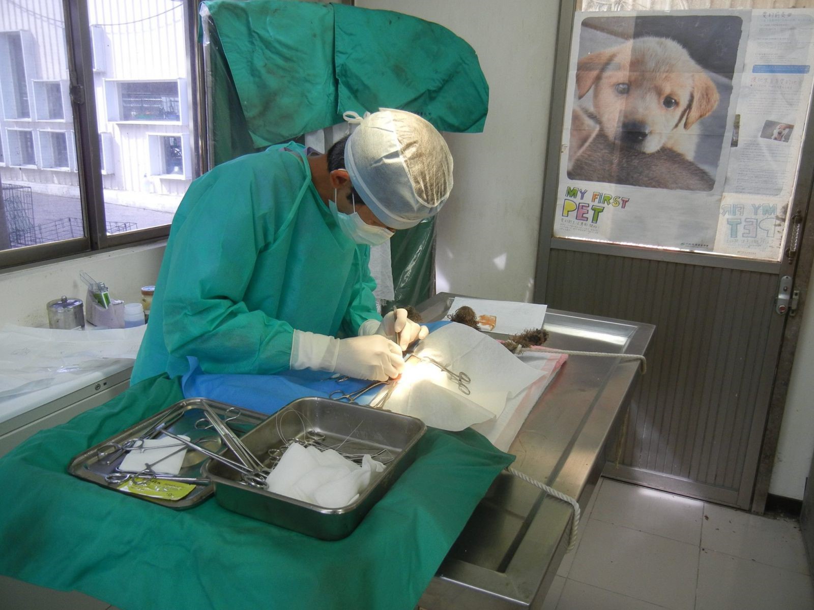 109年度寵物登記，狂犬病預防注射及絕育合作醫院名單出爐