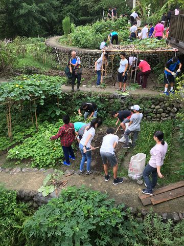 臺北城南最大稻田蒔田 客家農場300親子樂 預約炙夏豐收季