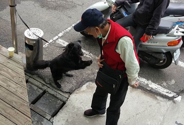 讓愛犬「LULU」回家了 暖警秒變馴獸師喚回