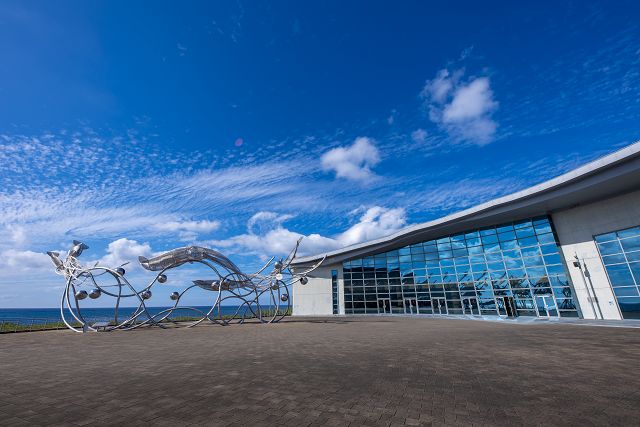 線上同遊海生館 屏東海生館推直播節目療癒身心