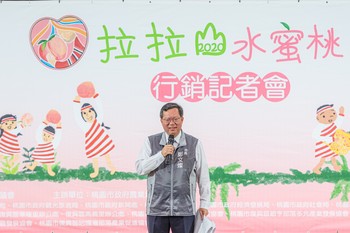 2020拉拉山水蜜桃正式上市 三大特徵辨真偽 歡迎訂購