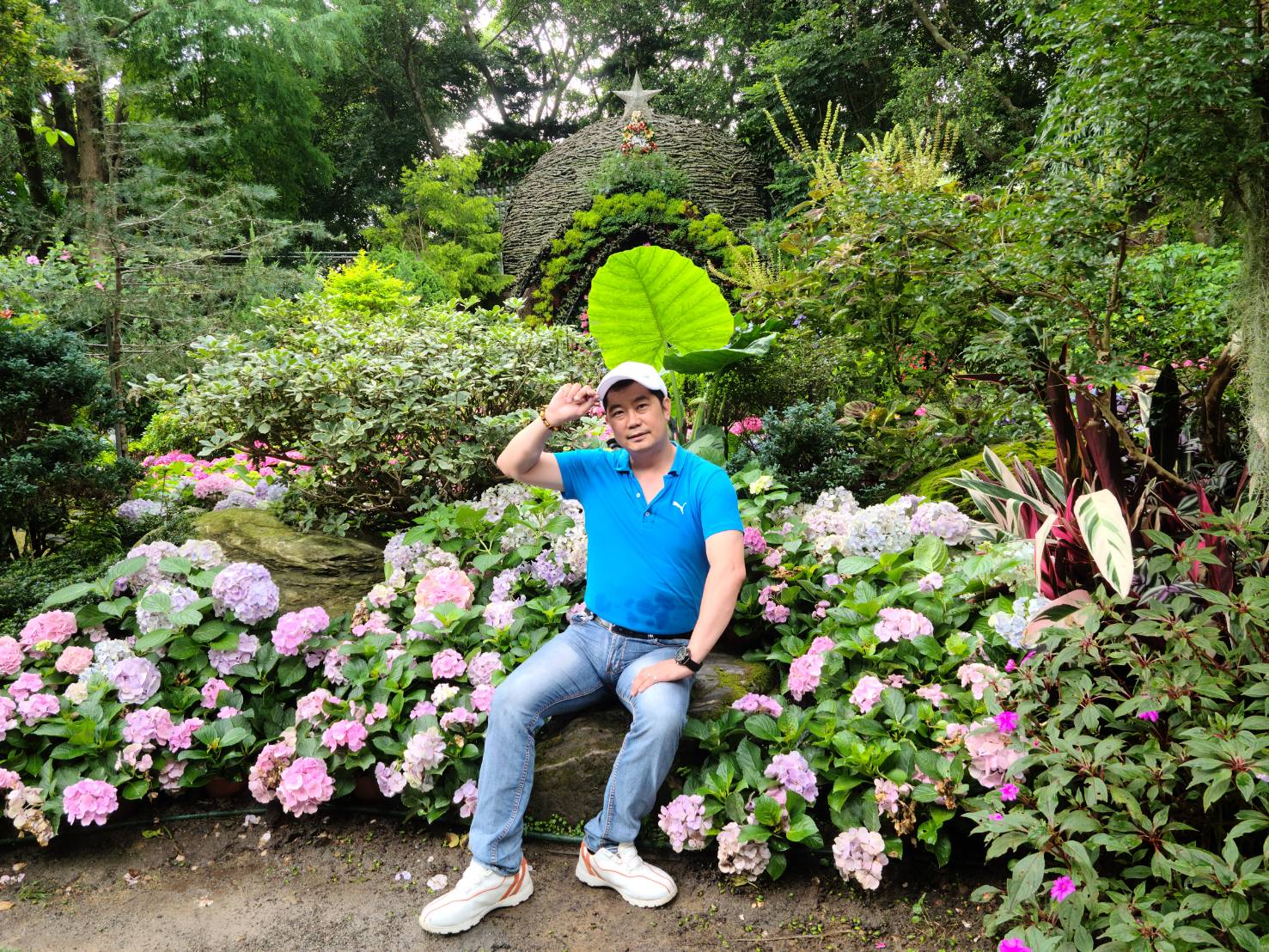 夏日防疫避暑好去處 花露農場漫遊繡球花