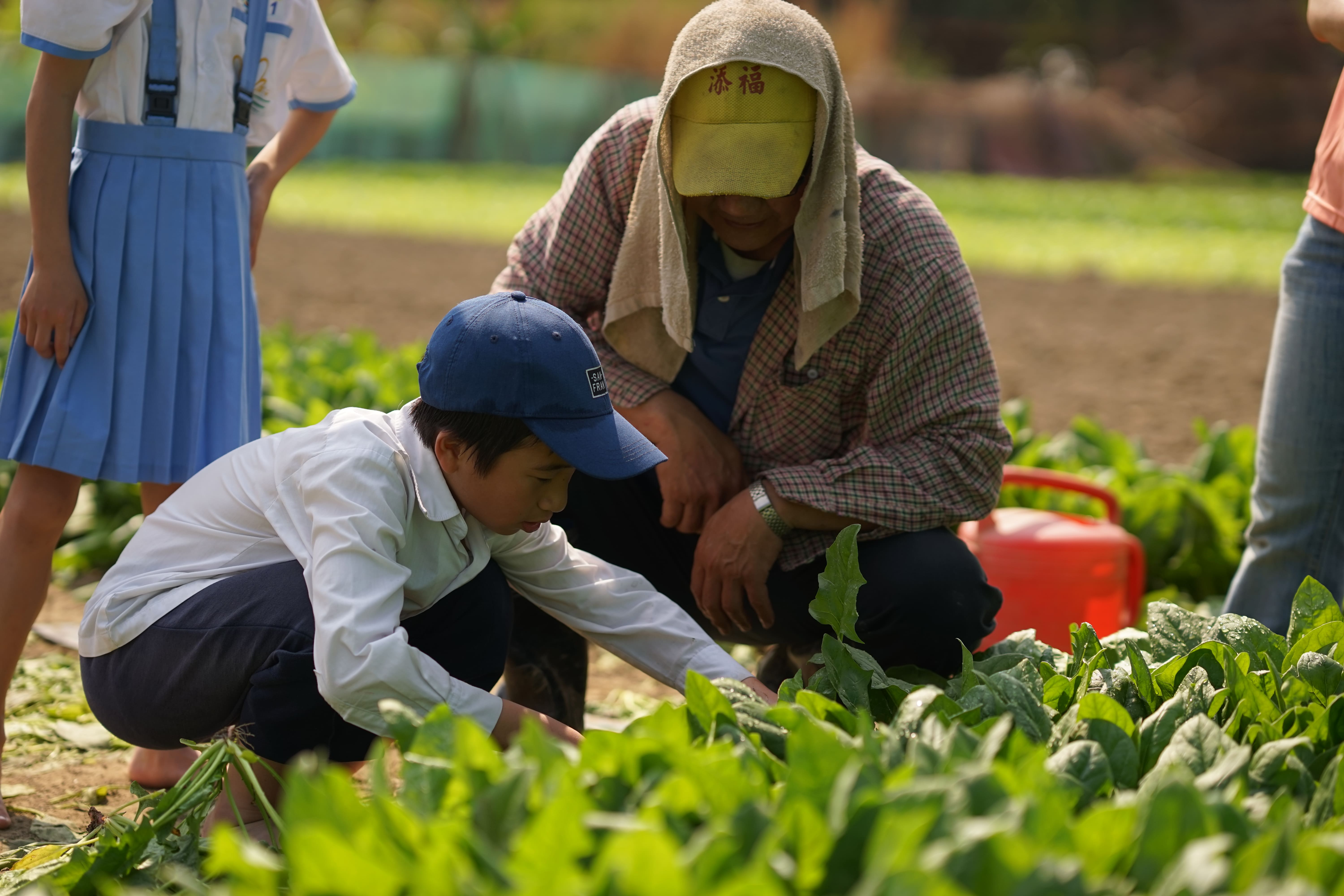 網界博覽會 臺北市學校海內外表現驚人 金光閃閃