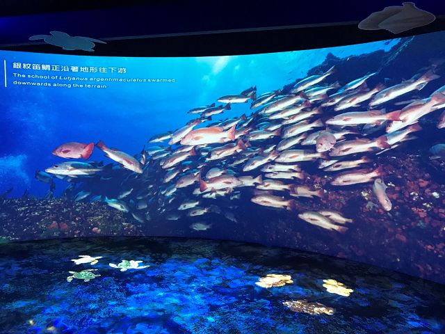 「絕美秘境 驚嘆之旅」澎湖南方四島國家公園特展開展 小武哥帶你遊四島