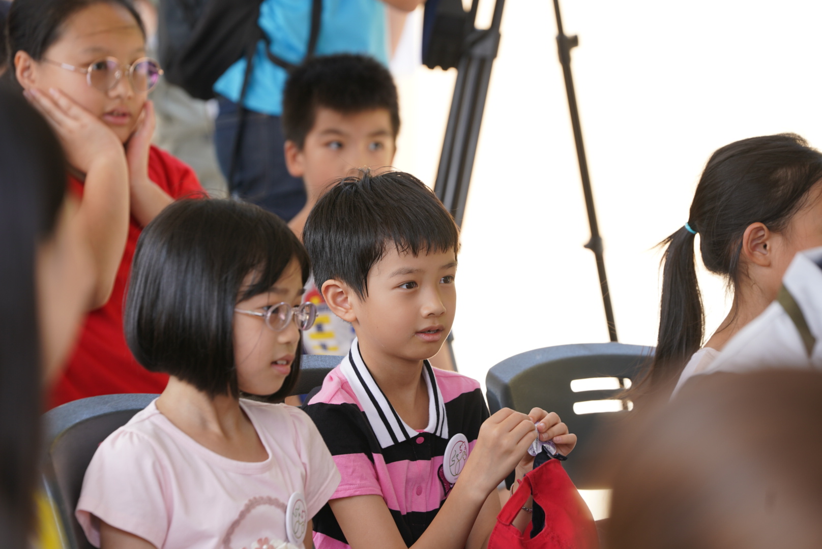 不一樣的夏令營！來新竹市立動物園「動物召集令！summer school」挑戰動物保母、一日醫生