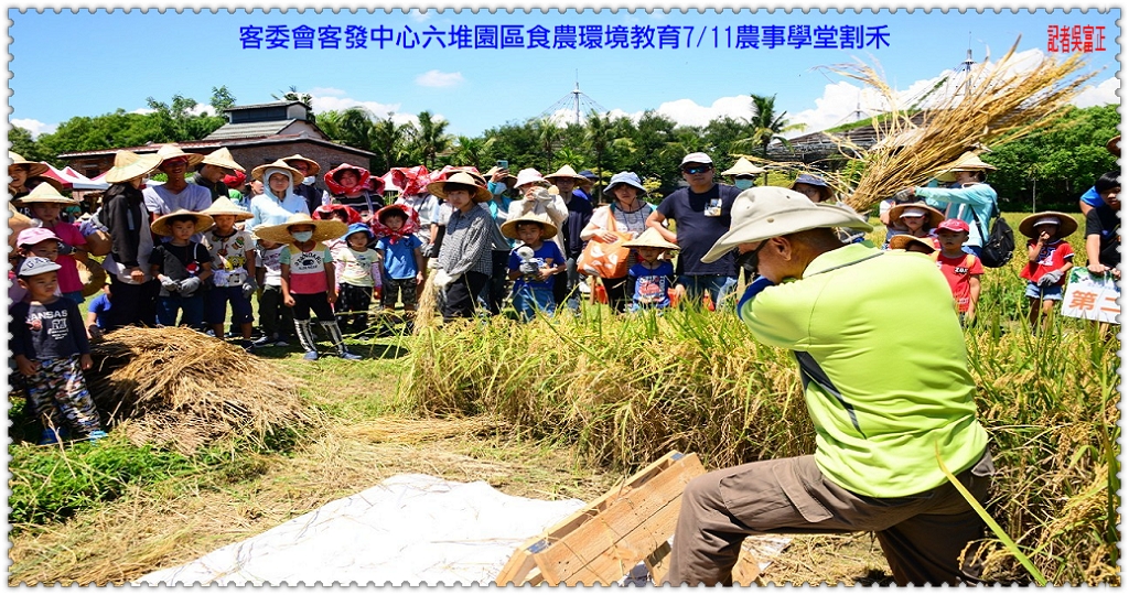 客委會客發中心六堆園區食農環境教育7/11農事學堂割禾＠民生好報