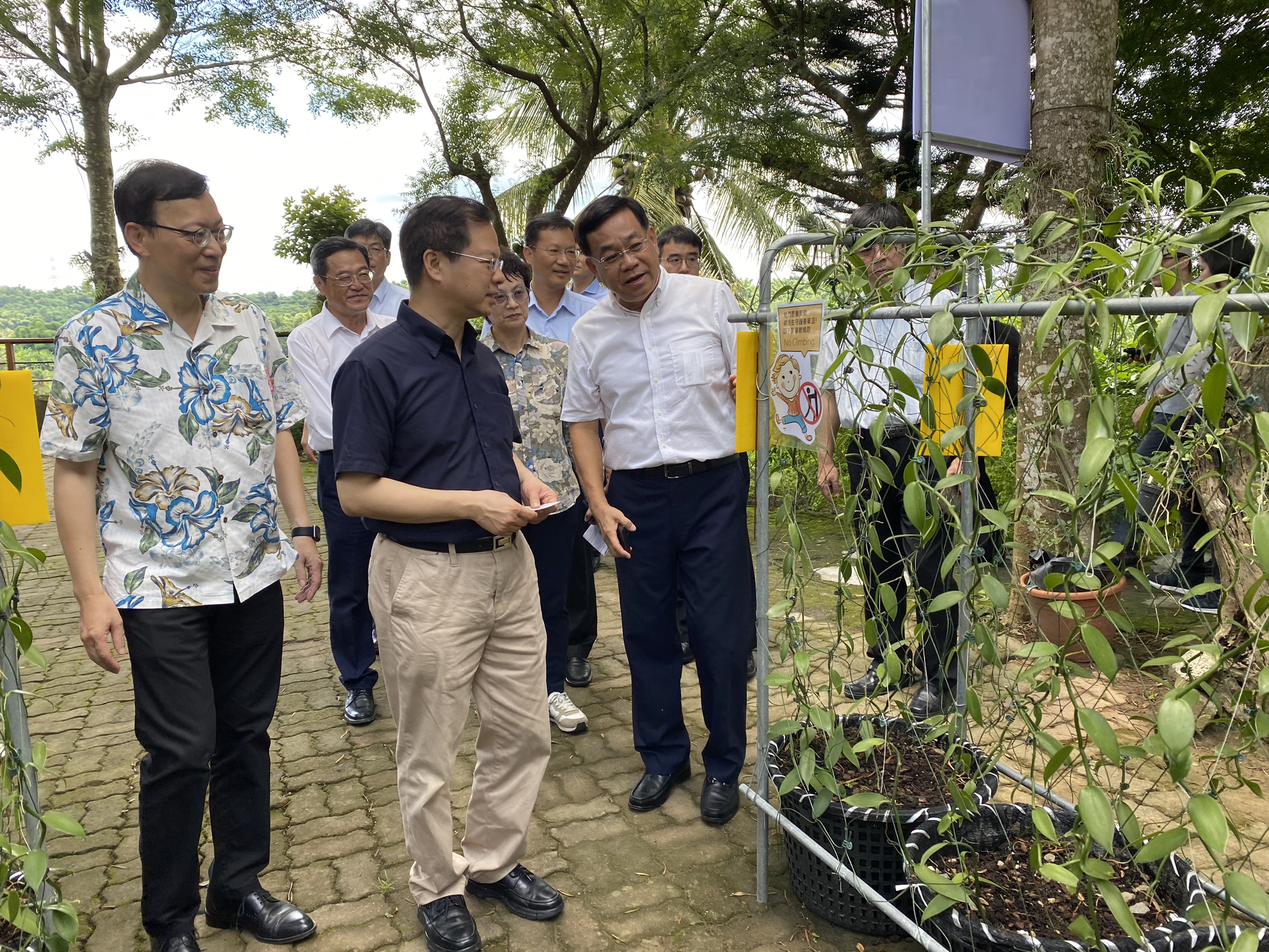 南市府積極推動地方創生 香草產業商機可期