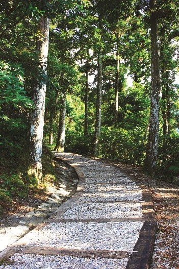 探索北橫秘境瀑布及步道 北橫旅遊重裝上陣