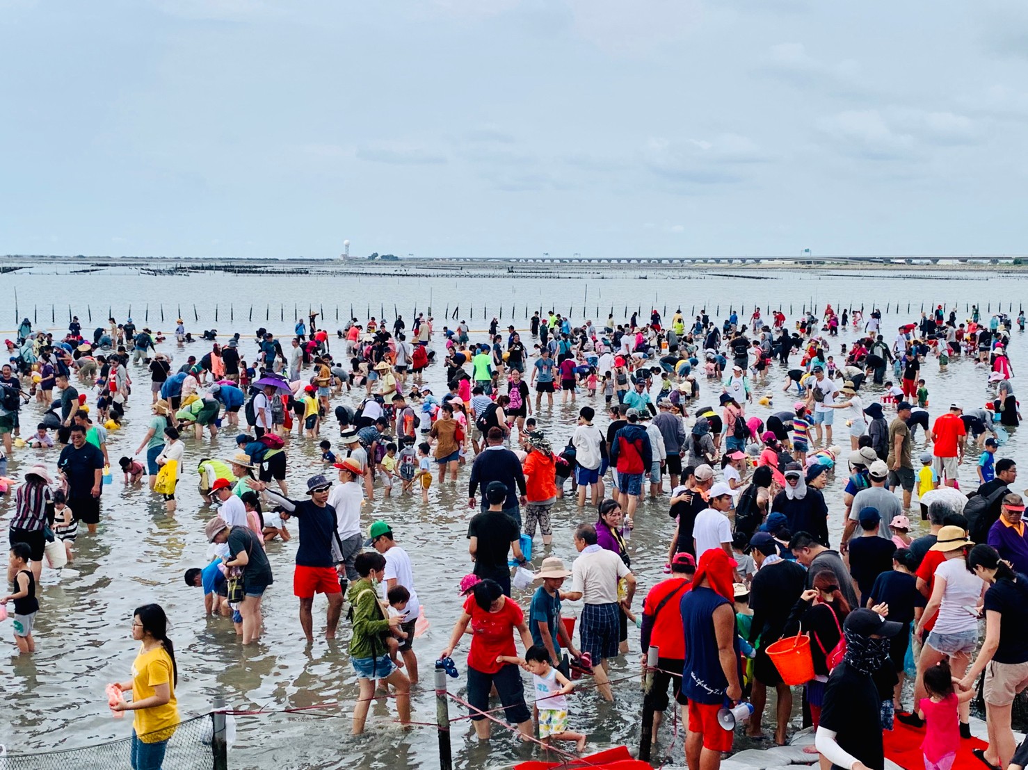 今夏最後一場七股海鮮節挖文蛤體驗8/16登場 ​呼籲參與民眾佩戴口罩並搭乘接駁車前往