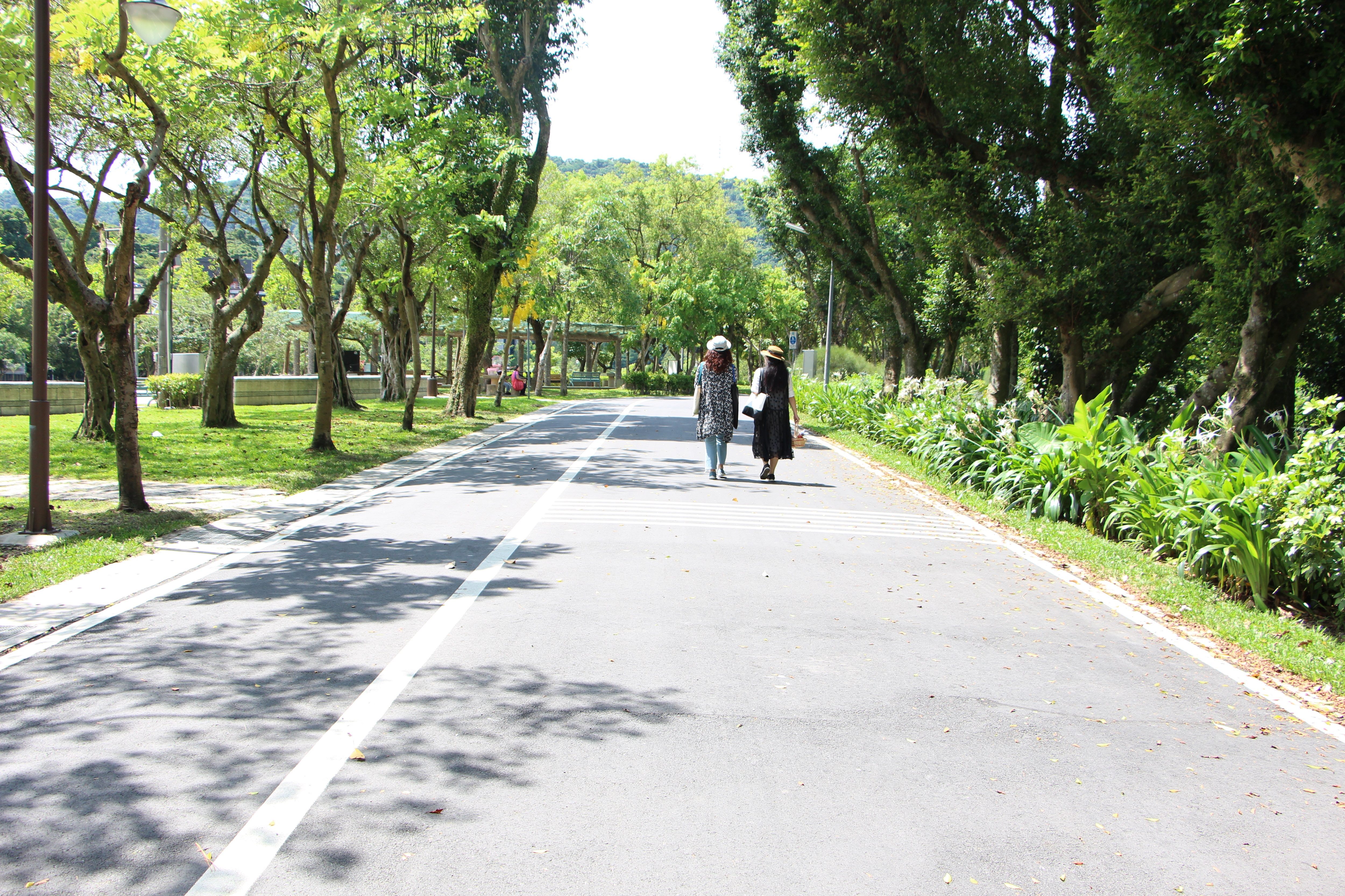 埤塘起家 環山生態 來南港公園人體充電