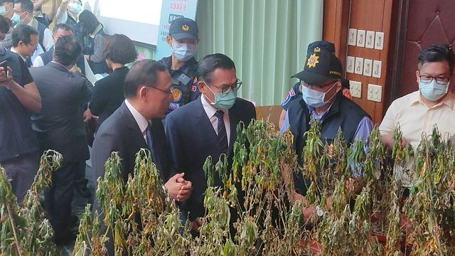 檢警合作連破5關查獲「史上最大大麻自耕農」