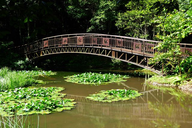 預約楓紅 奧萬大推出金秋優惠活動 預約楓紅 奧萬大推出金秋優惠活動