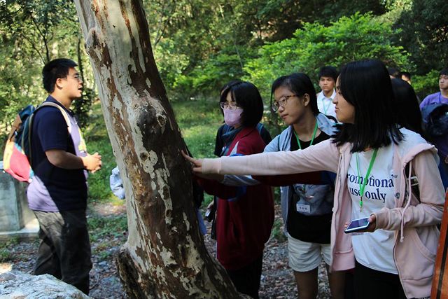 奧萬大森療活動十月天