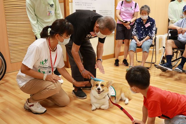 治療犬風靡樂智同學會　長輩轉換角色照顧狗