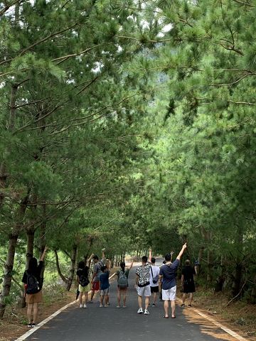 台中泡好湯　漫步谷關看泰雅故事饗宴