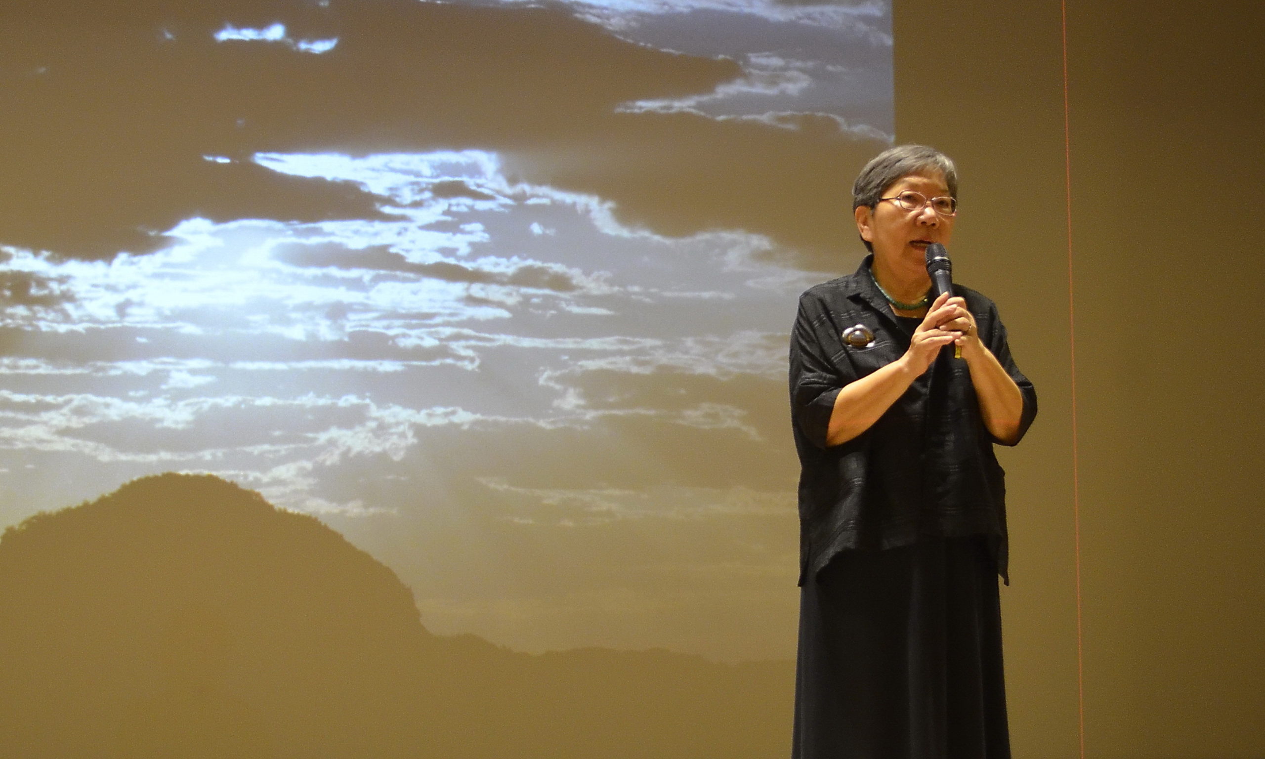 一棵開花的樹  席慕蓉：那個席慕蓉 我已回不去