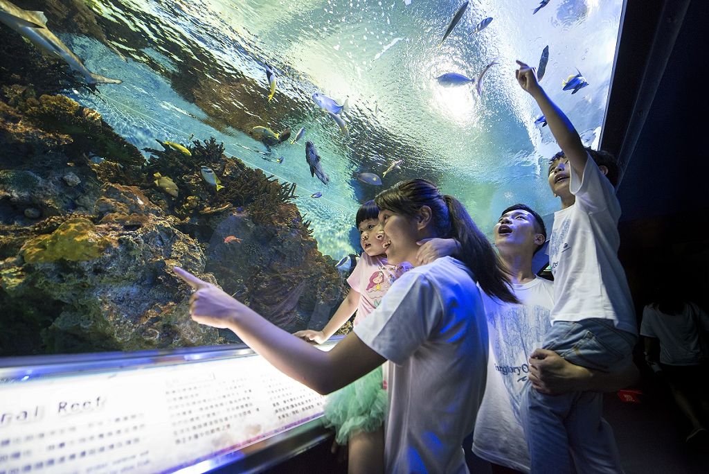 台北國際旅展遠雄悅來、海洋公園攜手 住房首推最低41折