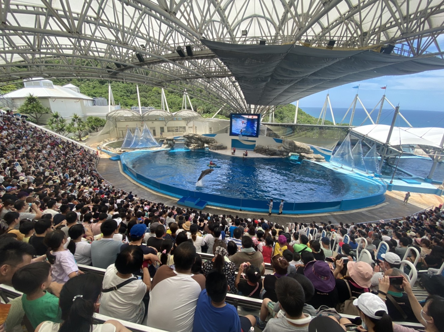 海洋公園史上最狂旅展優惠價  不限金額 消費還可再抽五星住宿券