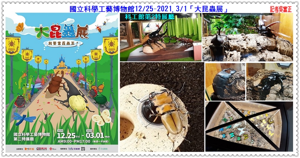 科工館12/25-2021.3/1「大昆蟲展」＠民生好報