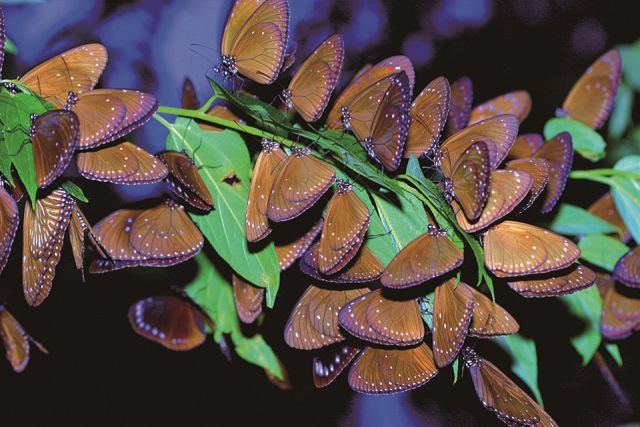 來去部落住一晚 【部落】好好玩