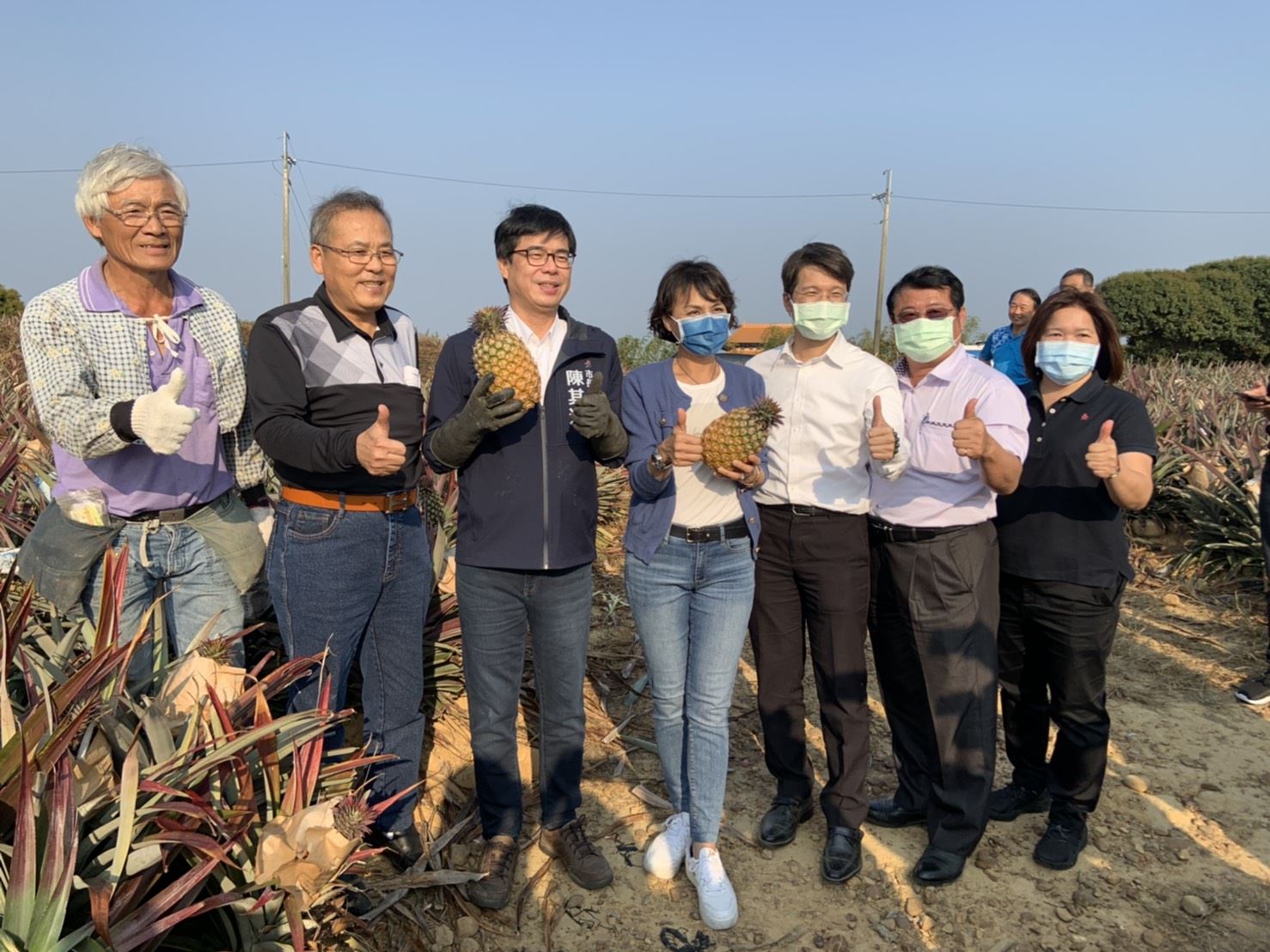 降低中國大陸停止台灣鳳梨進口衝擊 高雄超前佈署，獎勵鳳梨團購，截切鳳梨進超市、校園! 擴大新加坡日本、佈局新佈局新澳洲市場