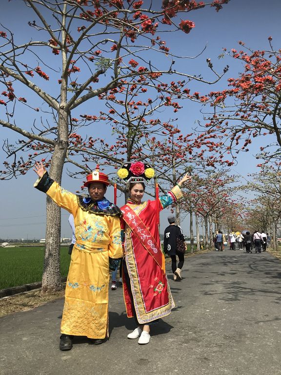 白河木棉花盛開白河萬里長城   連續假期有偽出國之感