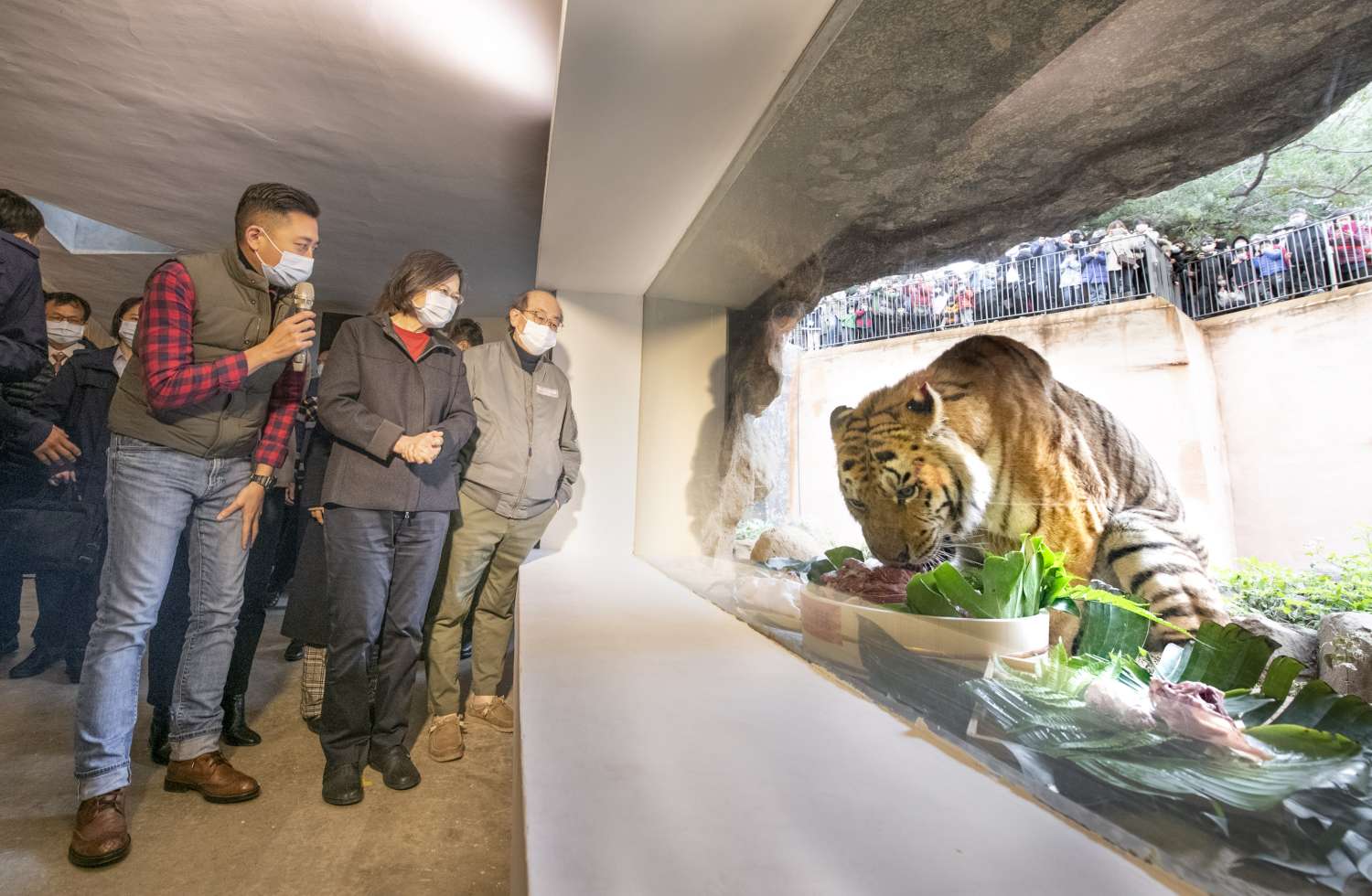 蔡英文總統、林智堅市長春節慰問全年無休動物園員工　虎年與老虎兄弟「六福」、「來福」同框合影