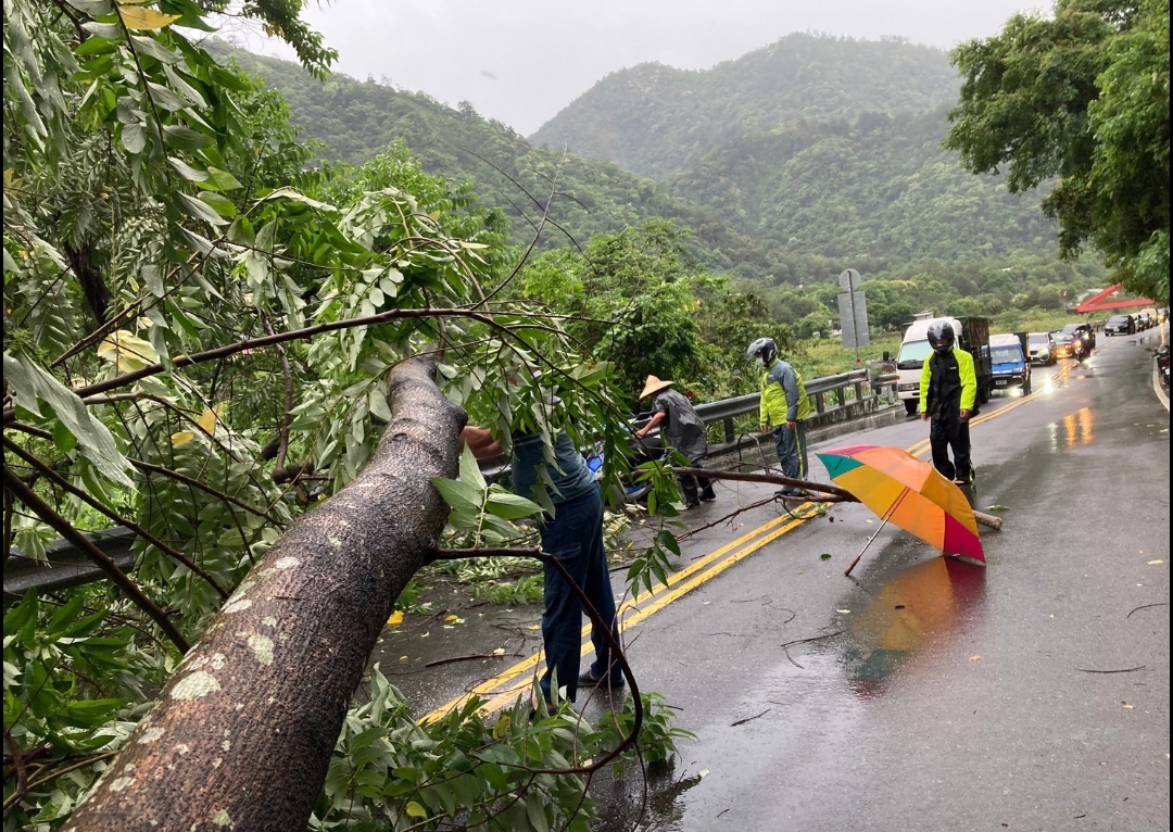 中橫公路29.5K樹倒擋道 員警趕到現場交管鋸樹