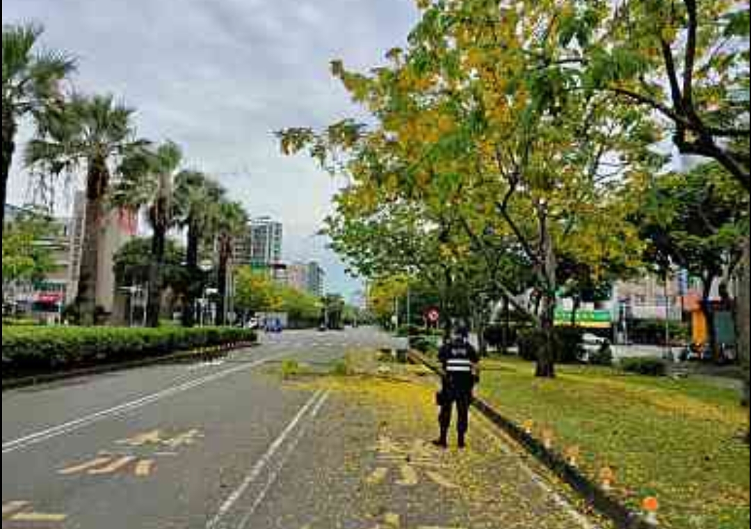 金黃地毯藏危機  警移斷枝還療癒美景