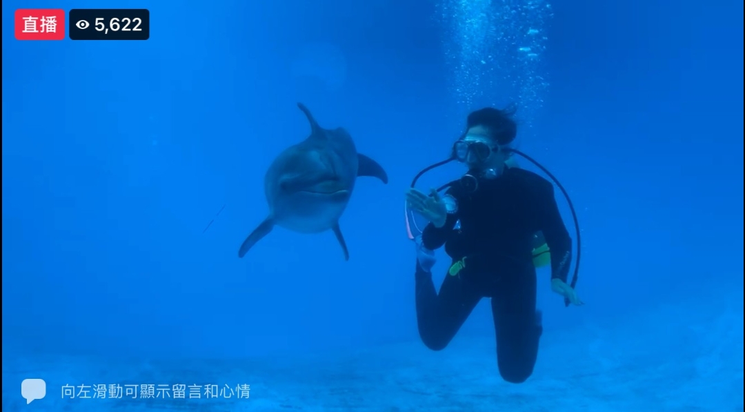 台灣服務業大評鑑  遠雄海洋公園奪金牌企業大獎