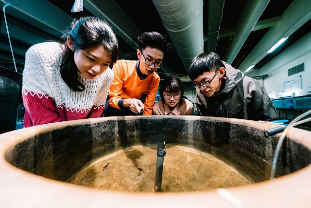 月圓「鵝」團圓 屏東海生館中秋賞極光 打造美好回憶