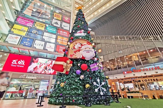 中台灣有趣聖誕樹現身 卡在樹上的聖誕老公公 中台灣有趣聖誕樹現身 卡在樹上的聖誕老公公